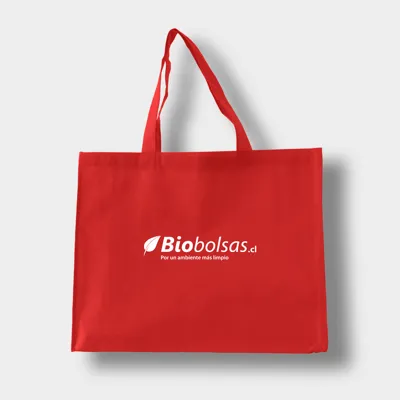 BOLSA 50X40X12