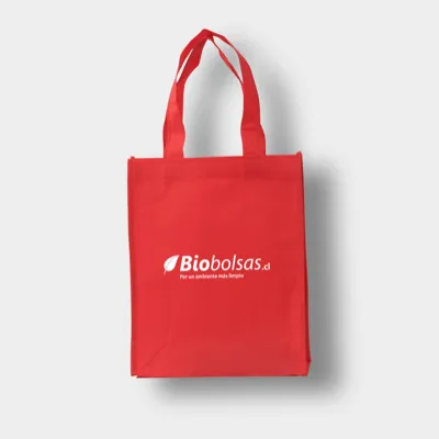 BOLSA 25X30X10