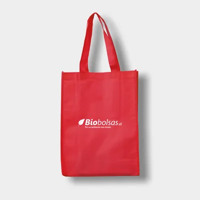 BOLSA 30X40X12